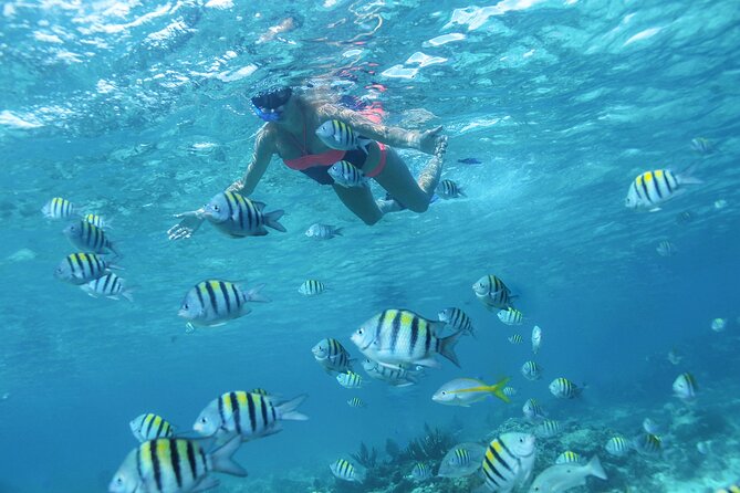 Cancun 4 hour Private Yacht Experience with Lunch and Open Bar Onboard - Who this yacht day fits best (and who should think twice)