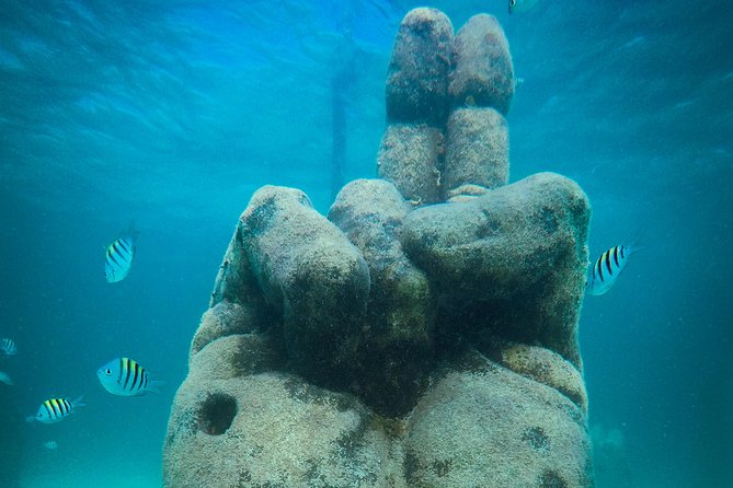 Cancun Adventure: Reef Snorkeling & Parasailing Experience - Parasailing First: What the Sky Portion Feels Like