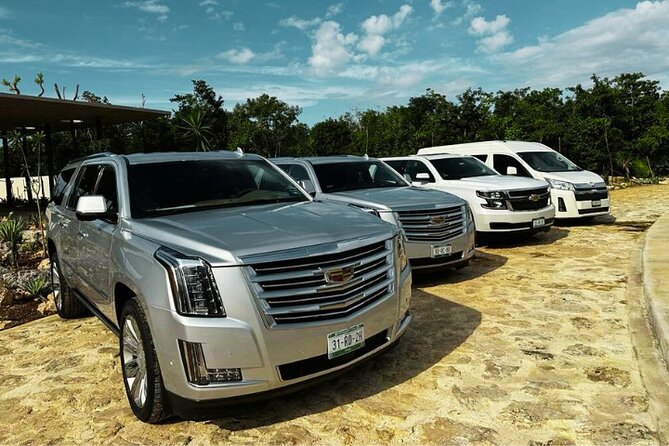 Cancun Airport: Private Transfers From/To Playa del Carmen - Where families and couples tend to win with this transfer