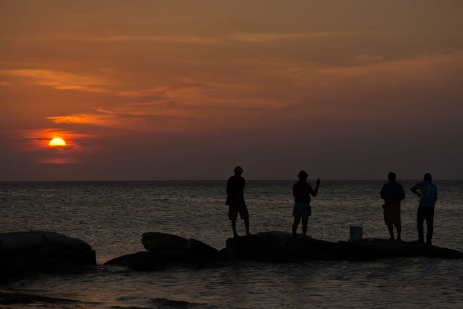 Cancun Airport to Holbox Transportation Private - Practical Tips Before You Go