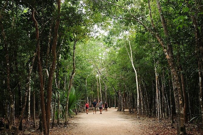 Cancun ATV Adventure, Horseback Riding, Zip Lines, and Cenote - Lunch, snacks, and water: what you actually get