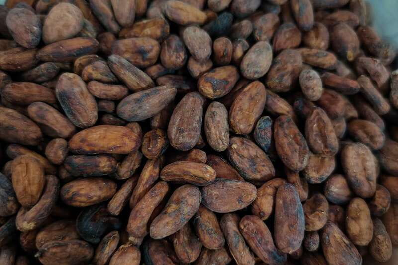 Cancún: Chocolate Making Class and Tasting with Chef - Key things to look forward to