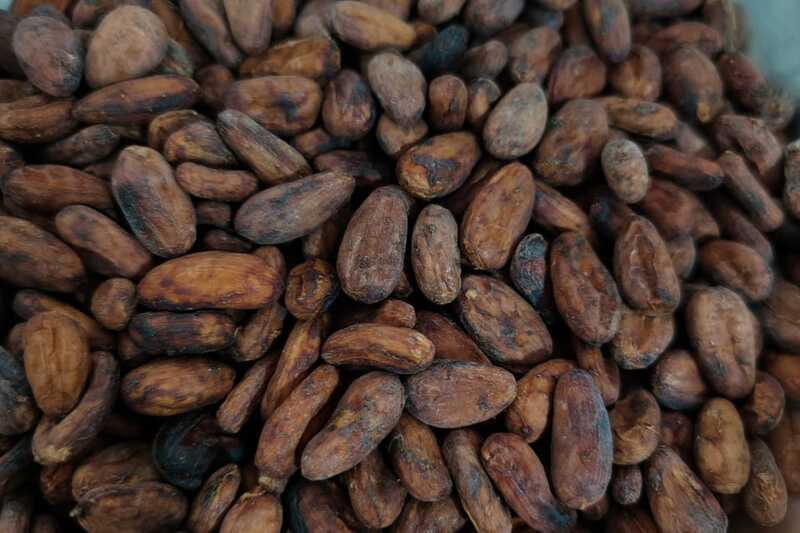 Cancún: Chocolate Making Class and Tasting with Chef - The Sensory Skills You’ll Notice Immediately
