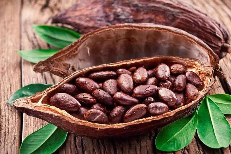 Cancún: Chocolate Making Class and Tasting with Chef - Who Should Book This Class in Cancun?