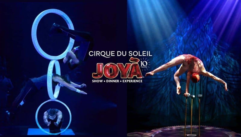 Cancún: Cirque du Soleil JOYÀ Entry Ticket and Transfer - Quick take