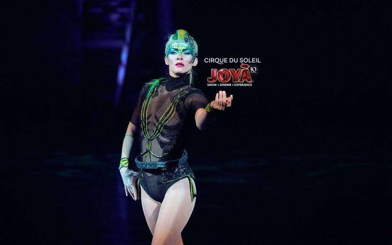 Cancún: Cirque du Soleil JOYÀ Entry Ticket and Transfer - Getting picked up in Cancún or Playa del Carmen without stress