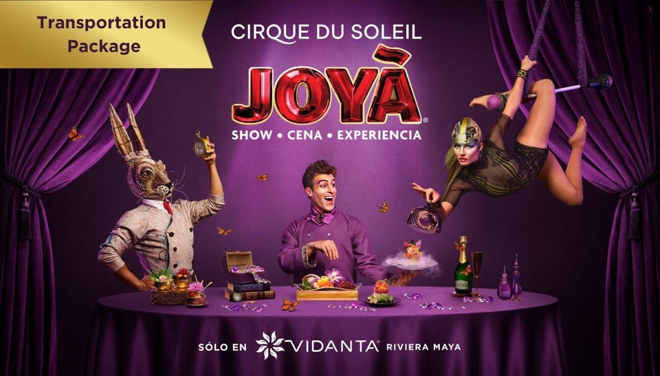 Cancún: Cirque du Soleil JOYÀ Entry Ticket and Transfer - The Vidanta Riviera Maya setting: comfortable, show-ready, and easy to manage