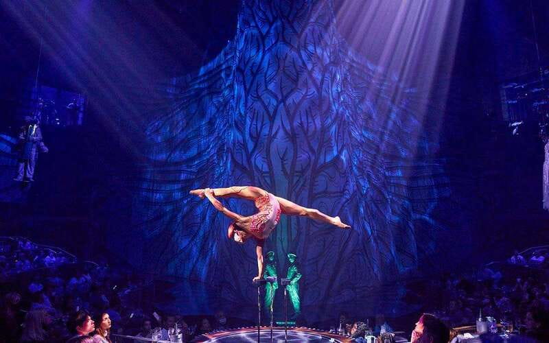 Cancún: Cirque du Soleil JOYÀ Entry Ticket and Transfer - What’s included (and what you’ll pay extra for)