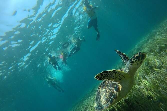 Cancun Combo Adventure: 4 Reef Snorkeling Stops & Parasailing - Safety setup: certified guide, radio, and an assistance patrol