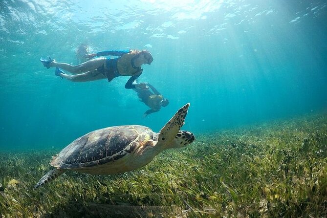 Cancun Combo Adventure: 4 Reef Snorkeling Stops & Parasailing - Price and value: what $189 covers (and what costs extra)