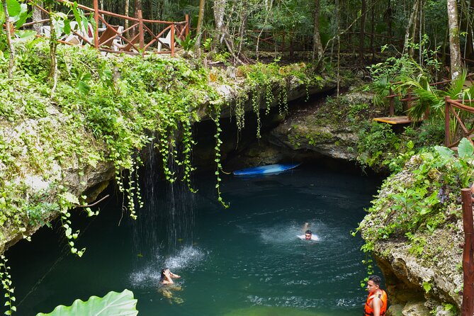 Cancun: Discover the Hidden Treasures: Exploring 3 Jungle Cenotes - Key things I’d pay attention to