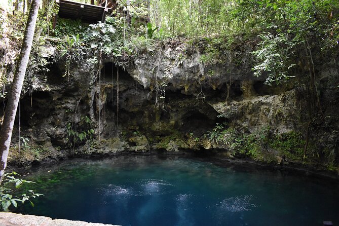 Cancun: Discover the Hidden Treasures: Exploring 3 Jungle Cenotes - Cenote day rhythm: what happens from check-in to water time