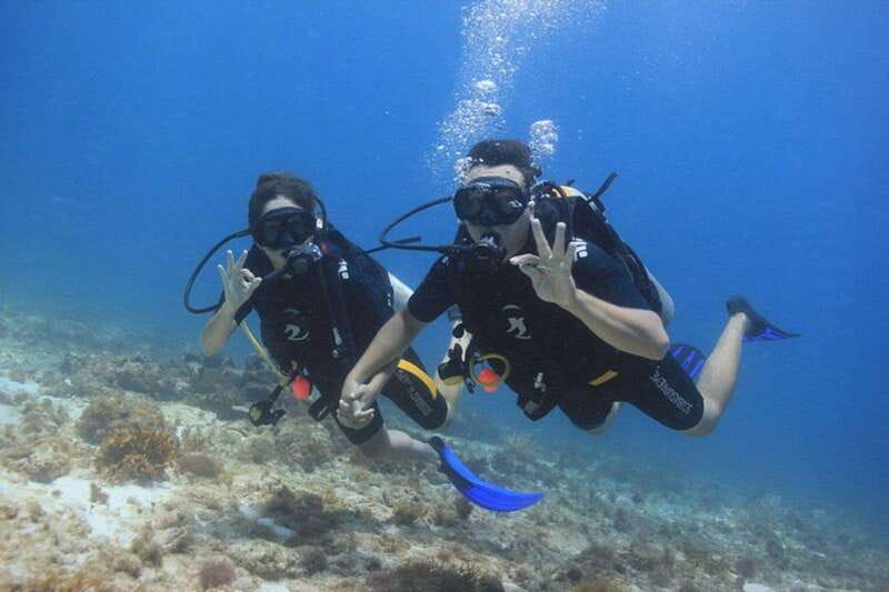 Cancun: Dive Underwater Museum & Manchones Reef - Key highlights that matter