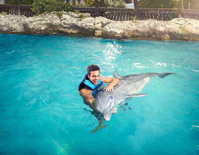 Cancún: Dolphin Encounter on Isla Mujeres with Buffet - Dolphin Encounter Key Points You’ll Care About