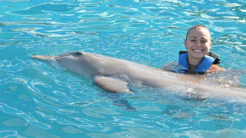 Cancún: Dolphin Encounter on Isla Mujeres with Buffet - Underwater Platform Viewing: Non-Swimmers Still Get the Close-Up