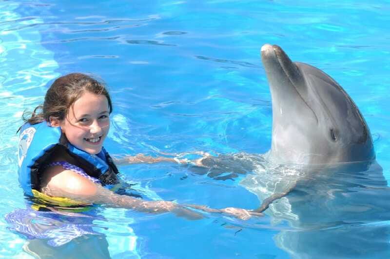 Cancún: Dolphin Encounter on Isla Mujeres with Buffet - Who Should Book (and Who Should Skip It)