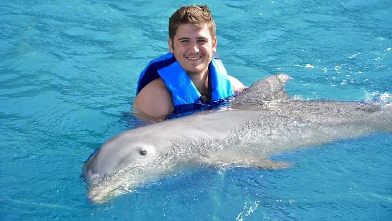 Cancún: Dolphin Encounter on Isla Mujeres with Buffet - Dolphin Discovery Program: What the Encounter Feels Like