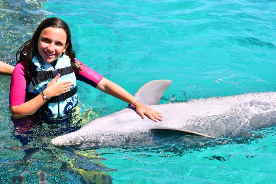 CANCUN: Dolphin Swim Adventure with buffet and soft drinks - Key things to know before you book