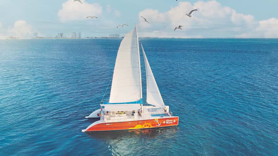 CANCUN: Dolphin Swim Adventure with buffet and soft drinks - Should you book the Dolphin Swim Adventure in Cancun?