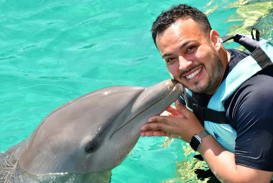 CANCUN: Dolphin Swim Adventure with buffet and soft drinks - Price and value: Is $109 a good deal for this kind of day?