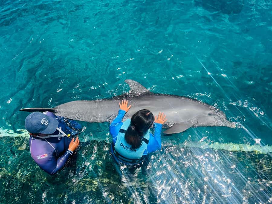 CANCUN: Dolphin Swim Adventure with buffet and soft drinks - Practical tips that make your dolphin day smoother