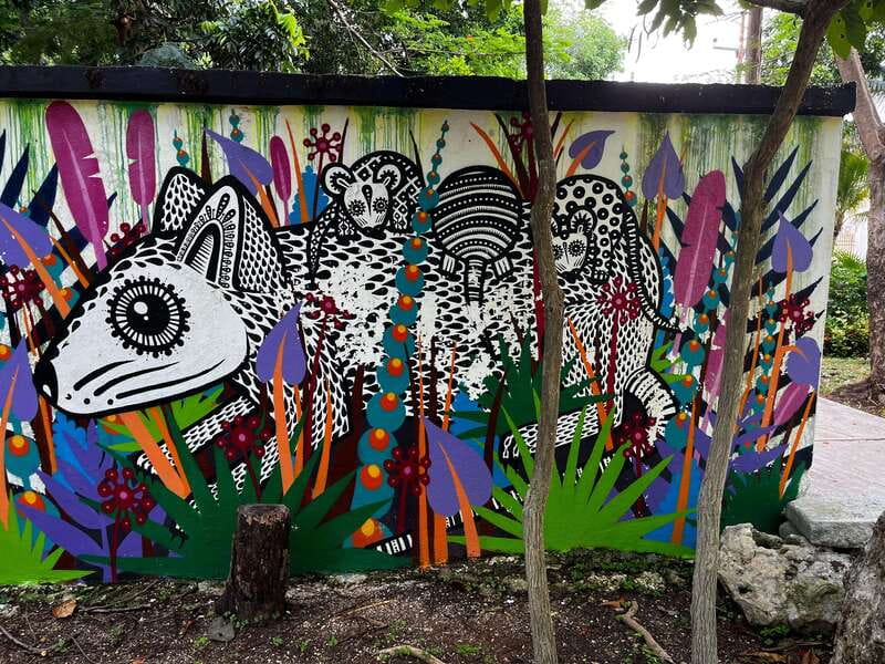 Cancun Downtown Evening Walking Tour - Key things to know before you go