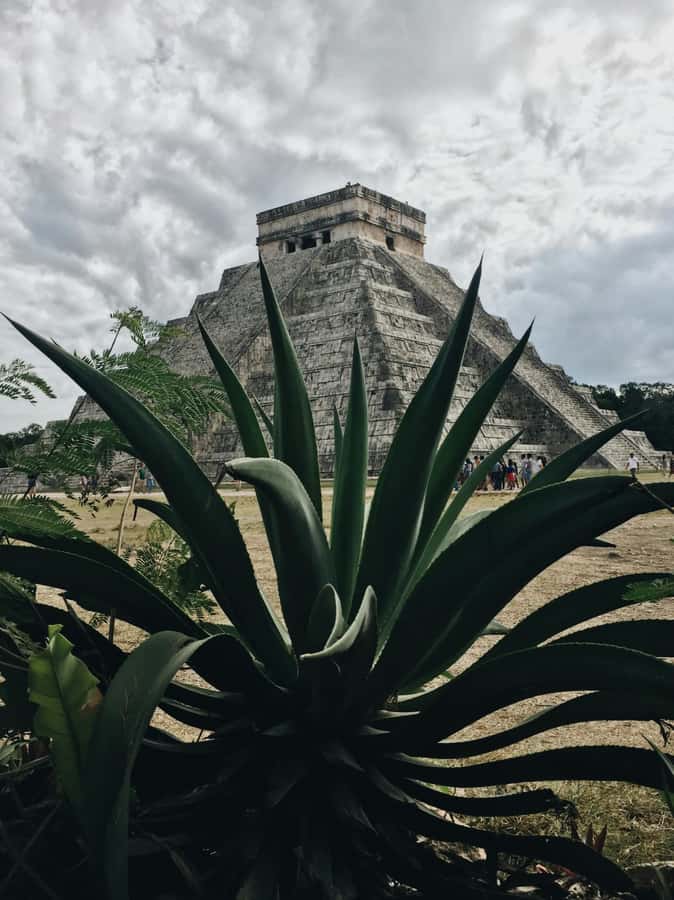 Cancun: Exclusive sunrise at Chichen Itza, expert tour guide - Who should book this sunrise tour, and who should skip it