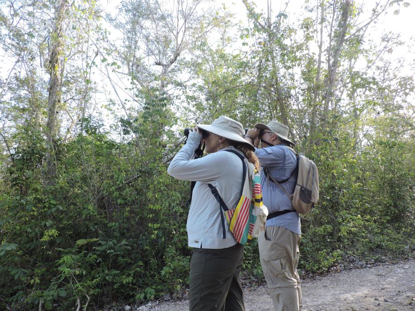 Cancún: Guided Birdwatching Hike - What to wear and pack (so you enjoy the hike)