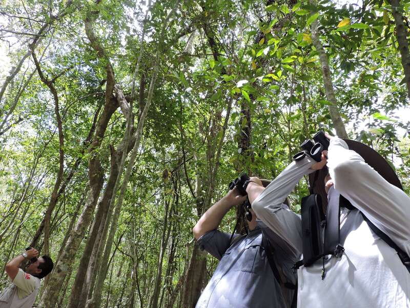 Cancún: Guided Birdwatching Hike - Why this Cancún birdwatching hike feels different