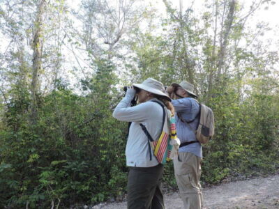 Cancún: Guided Birdwatching Hike - The morning flow: pickup, transport, and your first birding chances