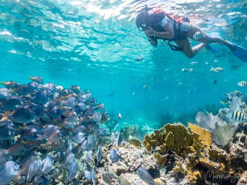Cancun: Half Day Private Catamaran to Isla Mujeres - Price, Value, and the Real Cost of a Private Group