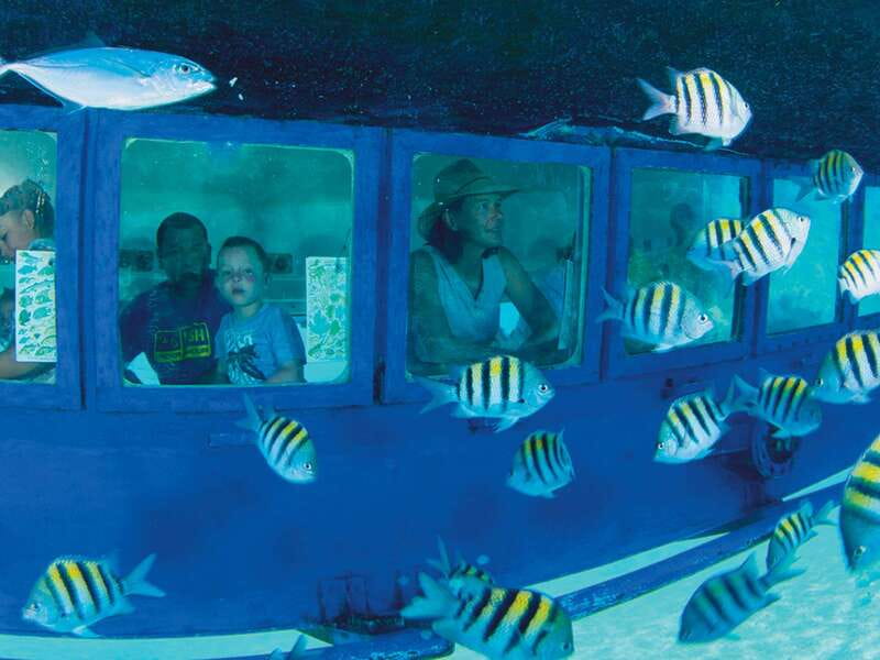 Cancún: Hop-on Hop-off Bus Tour with Submarine Trip - Downtown circuit: planetarium, parks, and a real sense of Cancun life