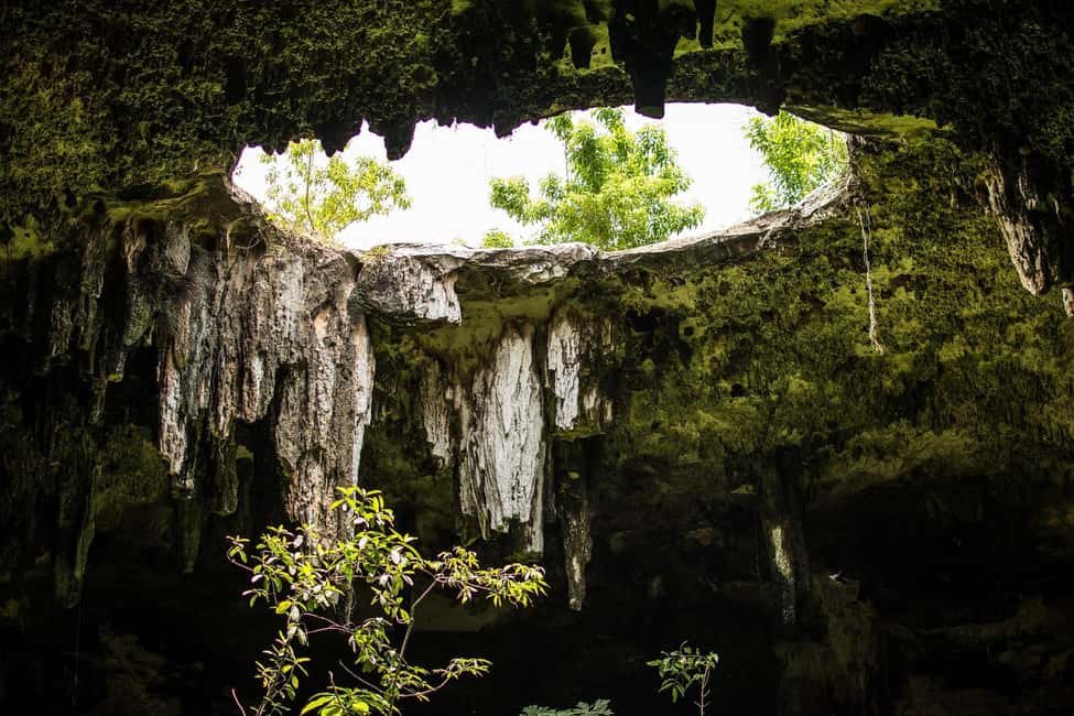 Cancun in its entirety: Chichen Itza ruins, cenote, and Valladolid - Price and Value: How the Costs Actually Work