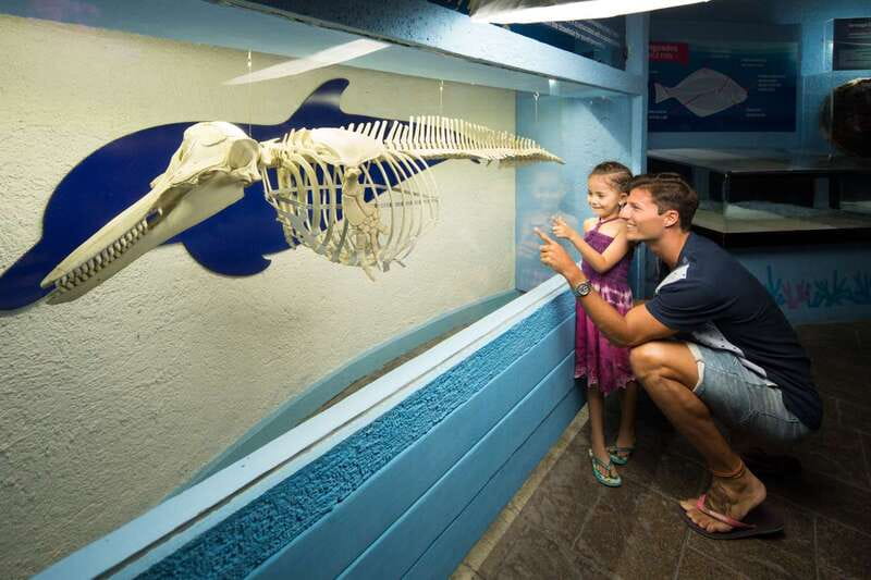 Cancún: Interactive Aquarium Admission - Entering the exhibits: a self-paced loop that still feels guided