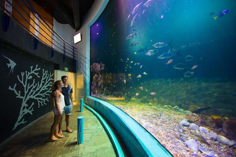 Cancún: Interactive Aquarium Admission - The 140+ species viewing area: where the animals actually meet your eyes