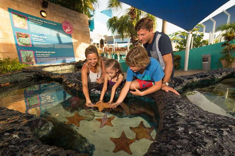 Cancún: Interactive Aquarium Admission - Touch tanks: rays, starfish, and sea urchins up close