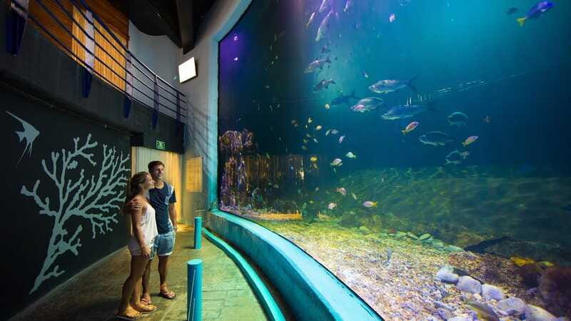 Cancún Interactive Aquarium Admission + Dolphin Presentation - The dolphin presentation at 7:00 pm: included show, included wonder