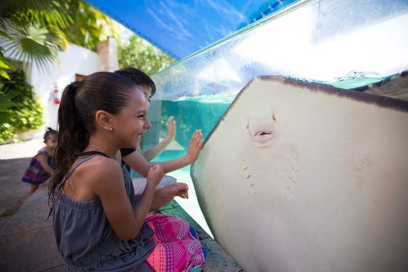 Cancún Interactive Aquarium Admission + Dolphin Presentation - Price check: $26 per person and the value equation in Cancun