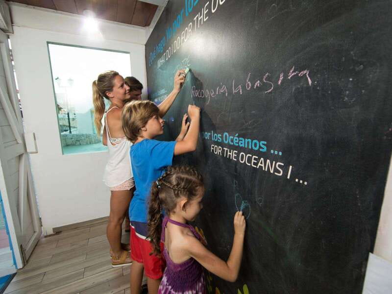 Cancún Interactive Aquarium Admission + Dolphin Presentation - Who should book this and who should skip it