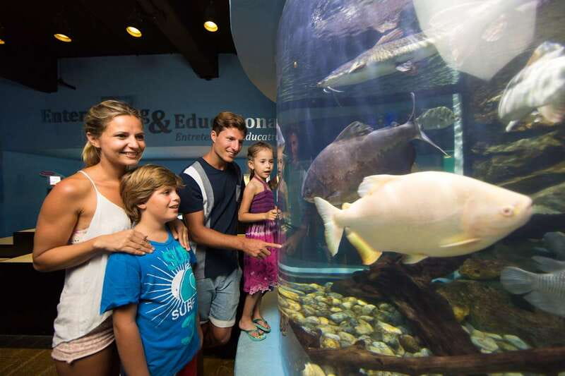 Cancún: Interactive Aquarium Admission - Getting value from $17: what you pay for and what you skip