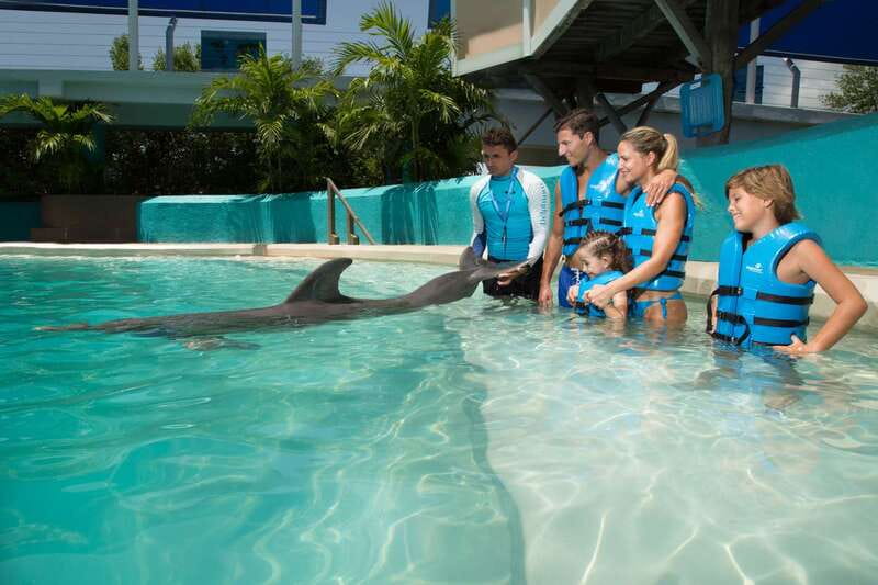Cancun: Interactive Aquarium - Swim with Dolphins Splash - Key Takeaways Before You Go