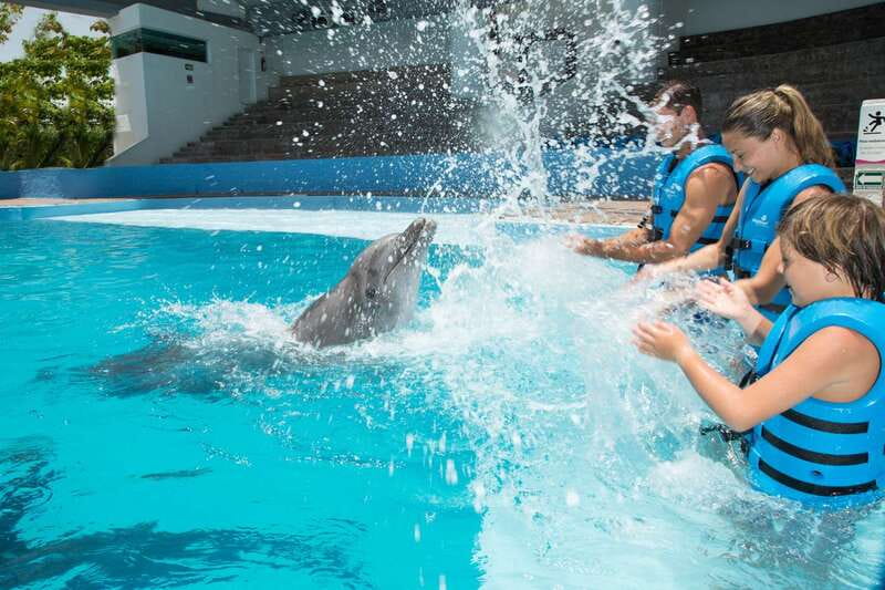 Cancun: Interactive Aquarium - Swim with Dolphins Splash - The Program Includes Aquarium Time and a Dolphin Presentation