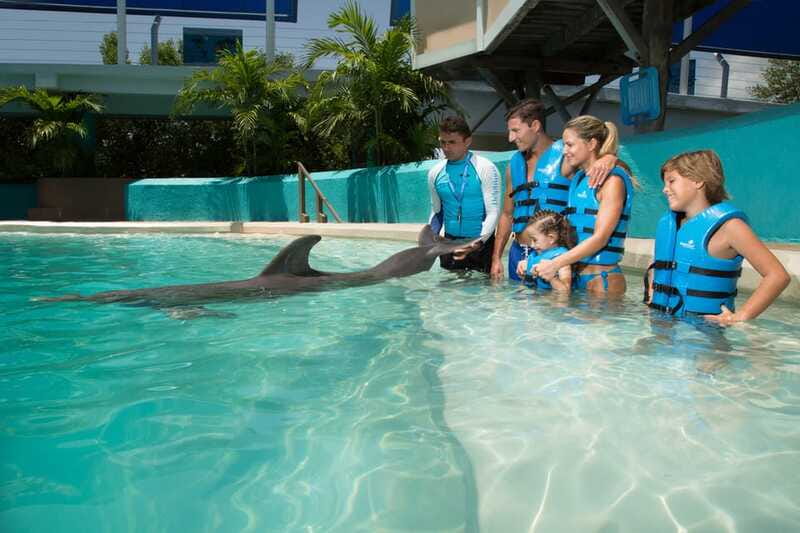 Cancun: Interactive Aquarium - Swim with Dolphins Splash - The In-Water Experience: How It Feels Up Close