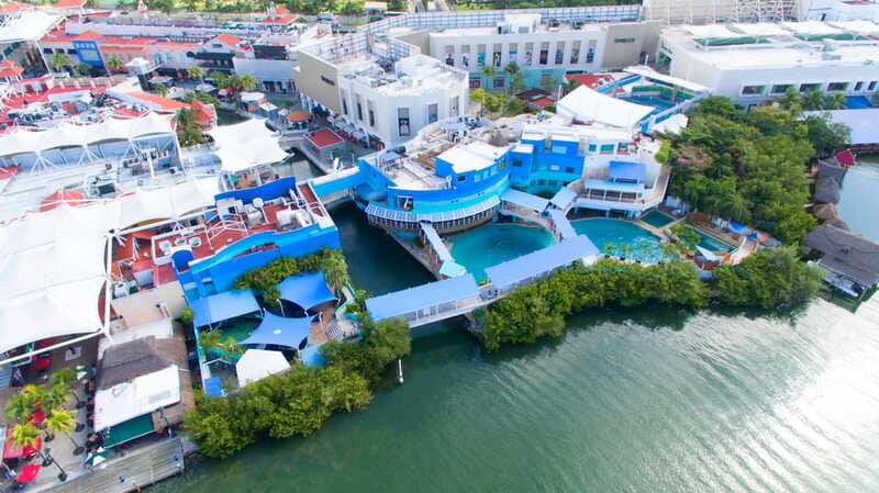 Cancun: Interactive Aquarium - Swim with Dolphins Splash - Photos, Videos, and the No-Phone Reality