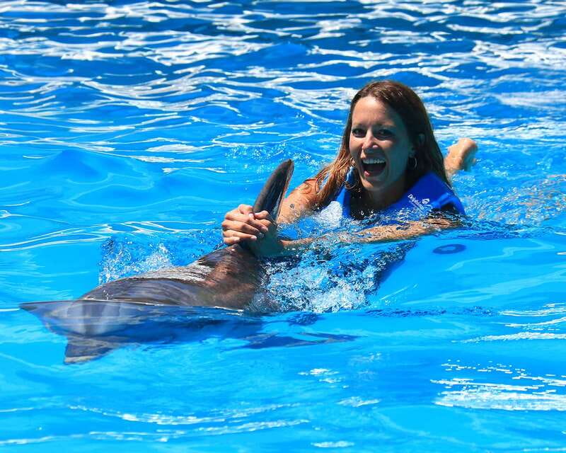 Cancun: Interactive Aquarium Ticket and Swim with Dolphins - Interactive Aquarium Cancun: what you’re really paying for