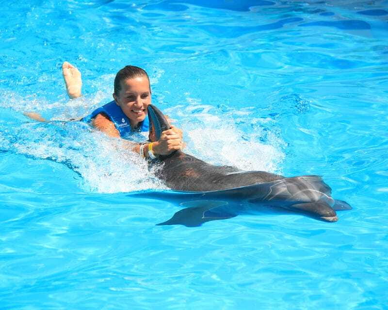 Cancun: Interactive Aquarium Ticket and Swim with Dolphins - Dolphin kiss, anatomy games, and what counts as interaction