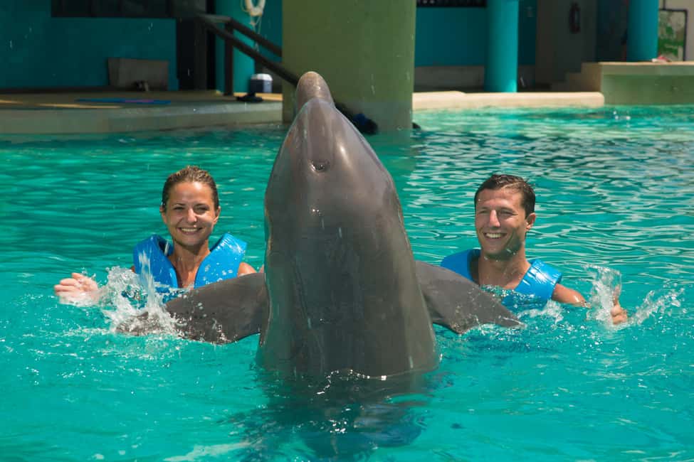 Cancun: Interactive Aquarium Ticket and Swim with Dolphins - Plaza La Isla meet-up and how to get ready in minutes