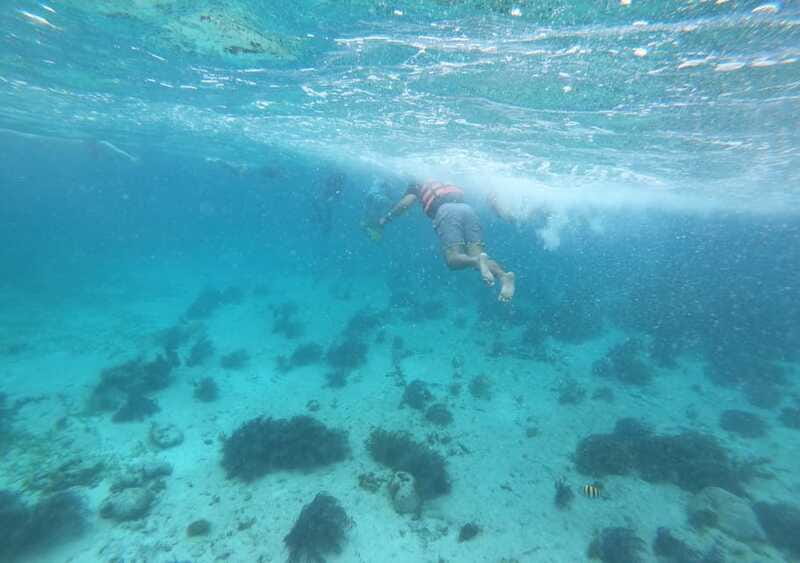 Cancun: Isla Mujeres Catamaran with buffet, drinks & snorkel - Should You Book This Cancun to Isla Mujeres Catamaran Tour?