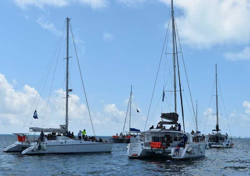 Cancun: Isla Mujeres Only Adults Catamaran, drinks & snorkel - Who this tour suits best (and who might prefer a quieter plan)