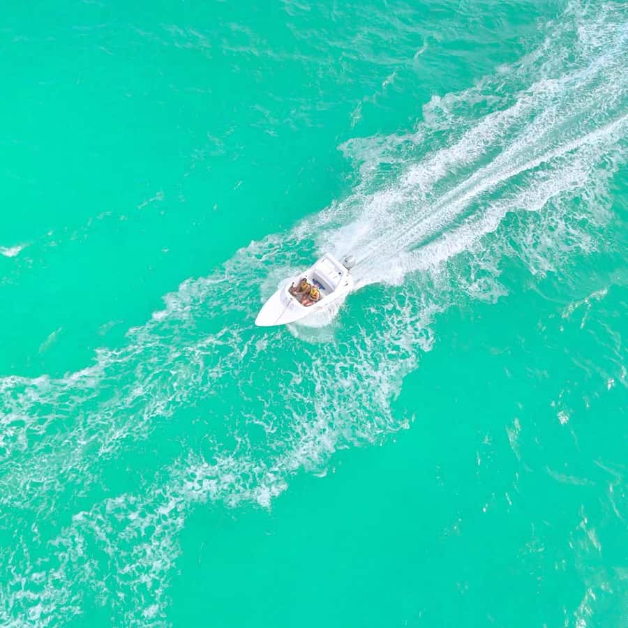 Cancun: Jungle Speedboat and Snorkeling Tour Adventure - The Big Win: The Guide Makes It Better (Noel’s Animal-Spotting Touch)